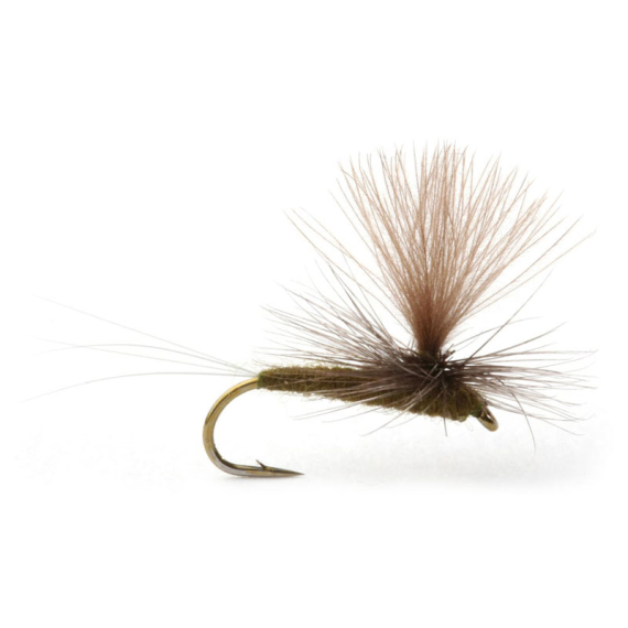 Baetis Dark Olive - 14 ryhmässä Uistimet / vieheet / Perhot / Kuivaperhoset @ Sportfiskeprylar.se (101394GL)