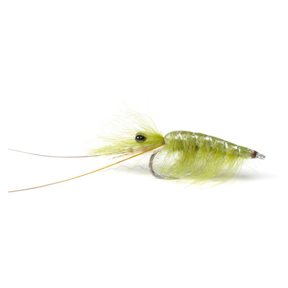 Olive CDC Shrimp #6 ryhmässä Uistimet / vieheet / Perhot / Streamerit @ Sportfiskeprylar.se (101583GL)