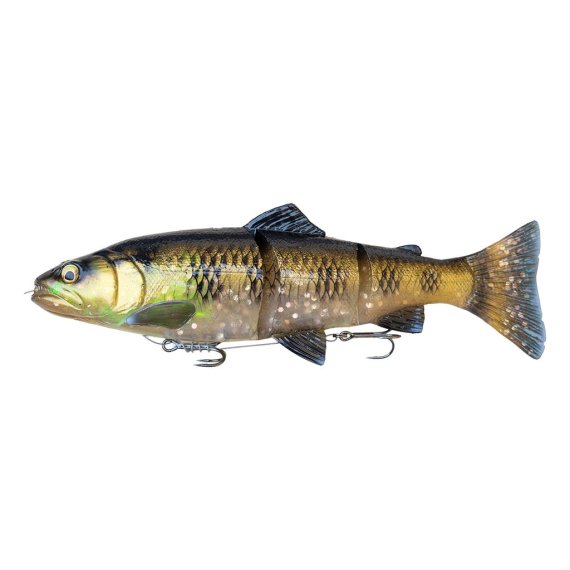 Savage Gear 4D Line Thru Trout 30cm, 290g SS ryhmässä Uistimet / vieheet / Jerkit / Pehmeä swimbaitit @ Sportfiskeprylar.se (1635903r)