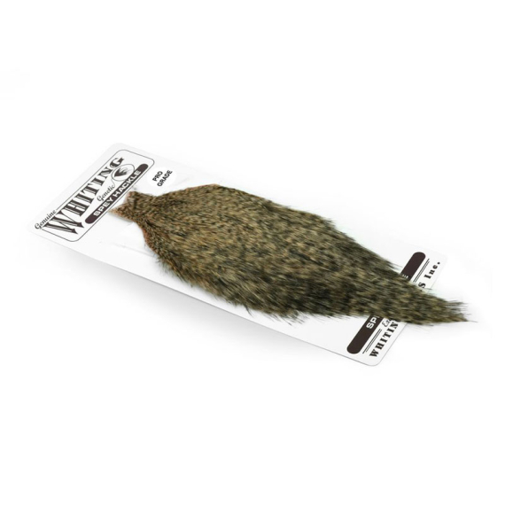 Whiting Spey Hackles Pro Grade Cape - GD/Salmon ryhmässä Koukut & Tarvikkeet / Perhonsidonta / Perhonsidonta materiaali / Höyhenet & Sulat / Takit & Satulat @ Sportfiskeprylar.se (65501102)