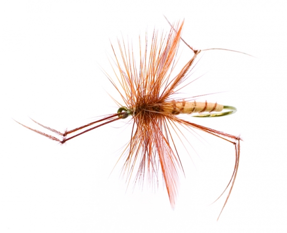 Daddy Long legs Tan/Brown TMC 2302 #12 ryhmässä Uistimet / vieheet / Perhot / Kuivaperhoset @ Sportfiskeprylar.se (FL44108)