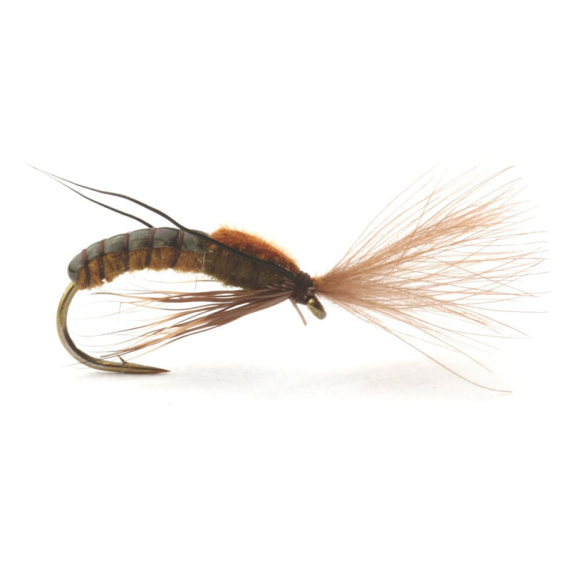 Super Emerging Caddis Brown Olive ryhmässä Uistimet / vieheet / Perhot / Kuivaperhoset @ Sportfiskeprylar.se (GL46166r)