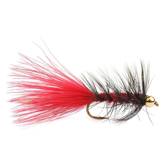 Wolly Bugger Gold Head Red Black size 8 ryhmässä Uistimet / vieheet / Perhot / Streamerit @ Sportfiskeprylar.se (HF1231-8)