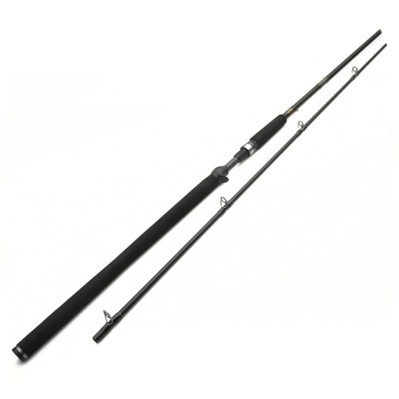 Westin W3 Powercast-T 8\'3\'\'/251cm XXH 40-130g 2pcs Casting ryhmässä Vavat / Hyrräkelavavat @ Sportfiskeprylar.se (W303-0832-XXH)