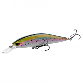 Rainbow Trout