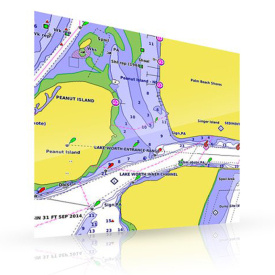 Garmin Bluechart G3