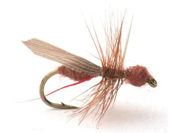 Guideline Flying Ant Cinnamon # 16