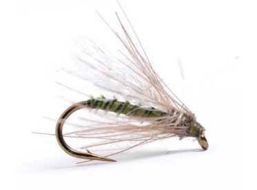 Guideline CDC Midge Olive # 16