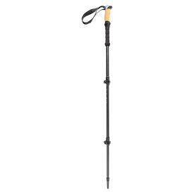 Pool 12 Speedstick Wading Staff