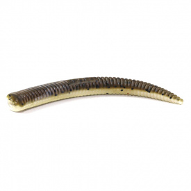 Bite Of Bleak Nazeebo Worm 10cm (8pcs)