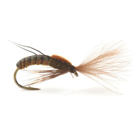 Super Emerging Caddis Brown Olive