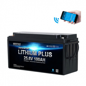 Meritsun Lithium Battery 24V 100Ah BT