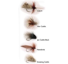 Dry Fly Sedges 5kpl