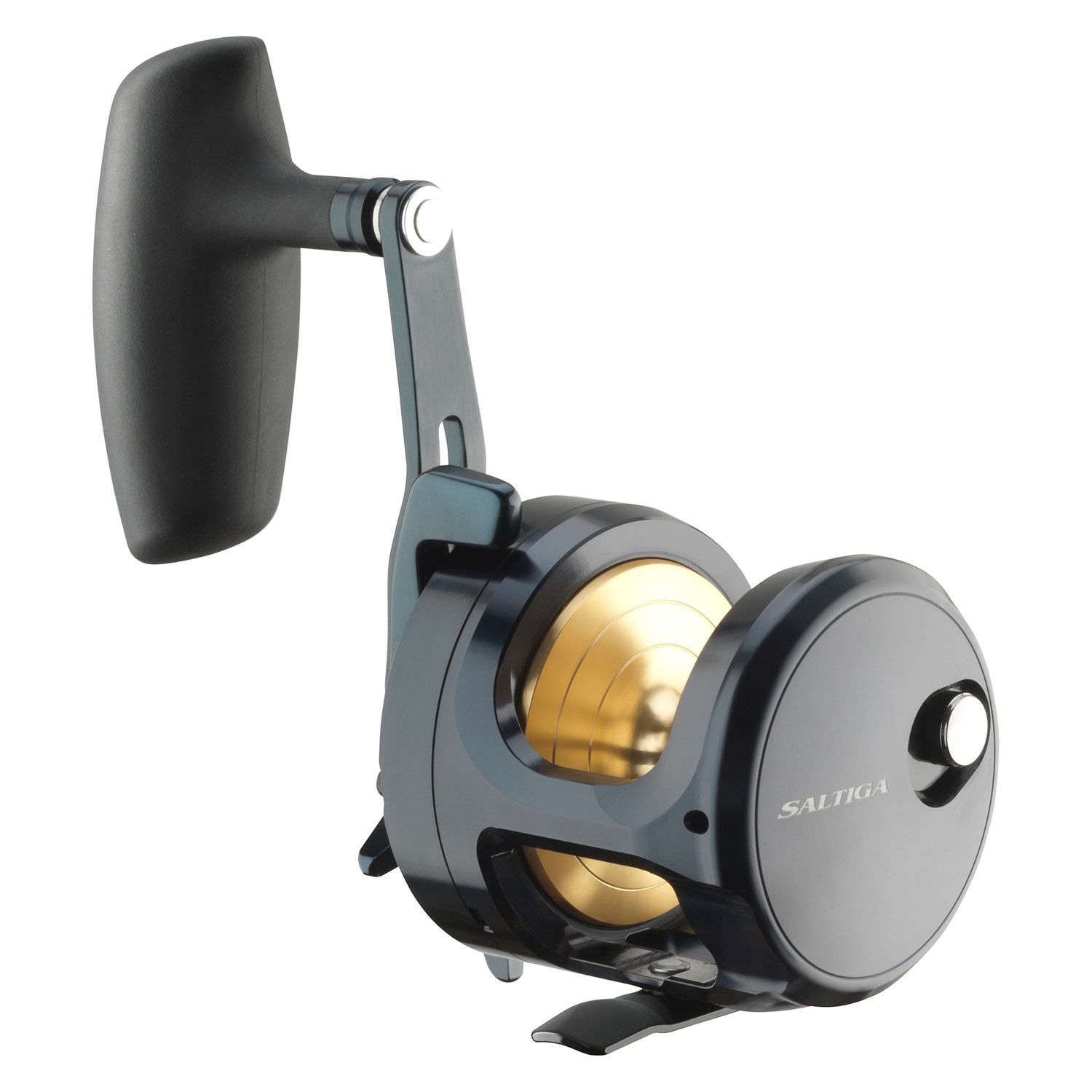 Daiwa 24 Saltiga 15